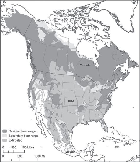 Black Bear Habitat Map