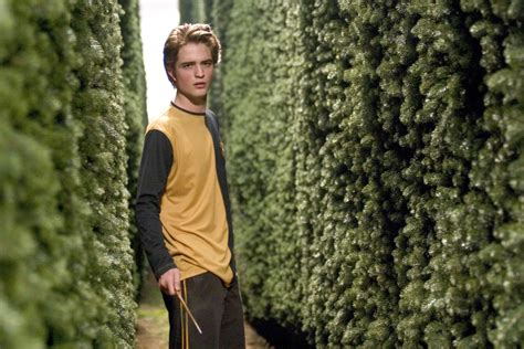 Harry Potter | Unsung heroes: Cedric Diggory | Wizarding World