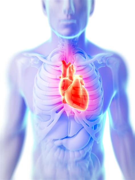 Causes Symptoms and Treatment of Cardiac Tamponade- Charlies