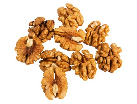 Download Walnut PNG Image for Free