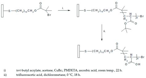 Scheme 1. Synthetic route for polymerization of poly(acrylic acid ...