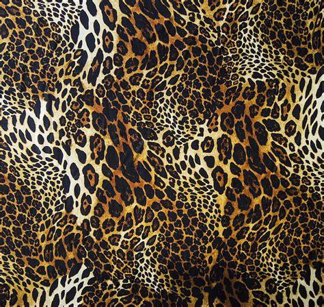 Leopard Print Wallpaper For Desktop