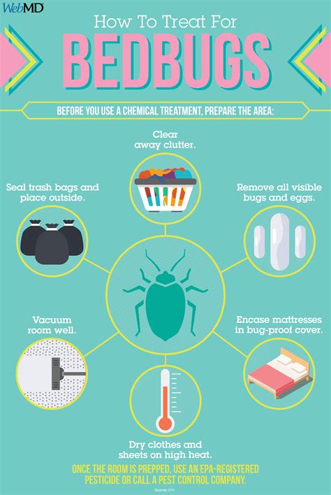 Bedbugs In Your Sheets? | Bed bugs, Hospital administration, Emergency medical