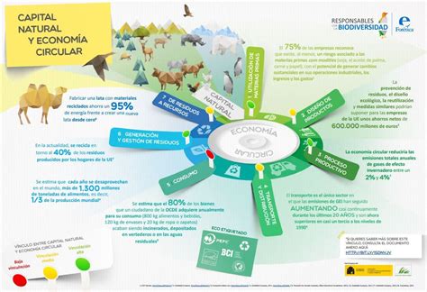 Economía circular; qué es y cómo funciona - Ecomex360 | Especialistas en comercio exterior y ...