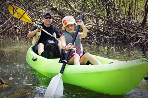 Fully Guided Kayaking Backwater Manatee and Dolphin Tour 2024 - Cape Canaveral