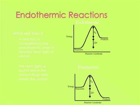 PPT - Endothermic and Exothermic Reactions PowerPoint Presentation - ID ...