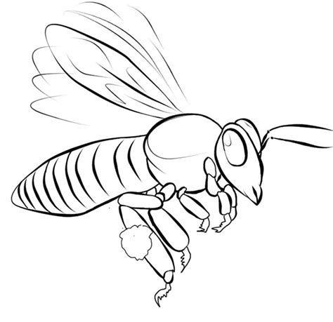 Bee Outline Drawing at GetDrawings | Free download