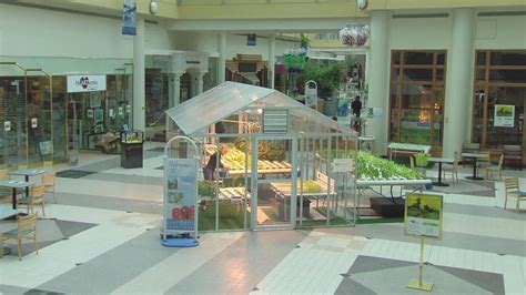 Grow Food in the Galleria Mall | Food Forward