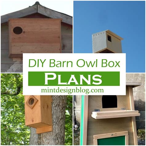 15 Free DIY Barn Owl Box Plans For Your Garden - Mint Design Blog