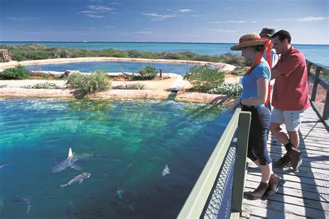 Shark Bay Marine Park | Attraction | Denham | Shark Bay area | Western Australia