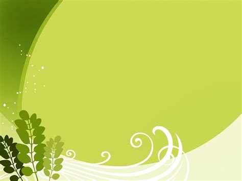 Abstract Green Background with White Swirls and Flowers