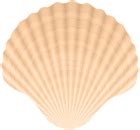 Clam Shell PNG Clip-art | Gallery Yopriceville - High-Quality Free Images and Transparent PNG ...