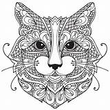 Kitten Coloring Pages For Adults At GetColoringscom  Free Printable sketch template