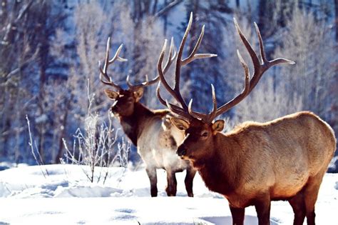 August 27: Colorado Parks & Wildlife – Sportsman of Colorado