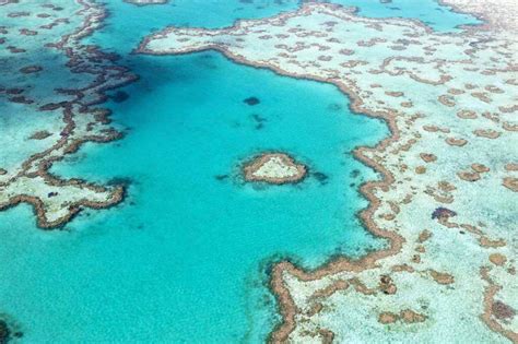 Top Great Barrier Reef Activities To Enjoy in a Day - Distant Journeys