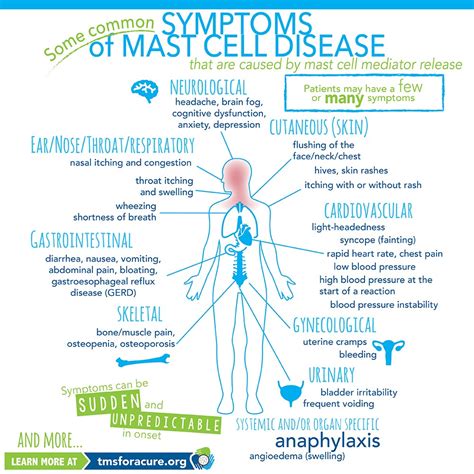 Mast Cells and Autism - The Autism Community in Action