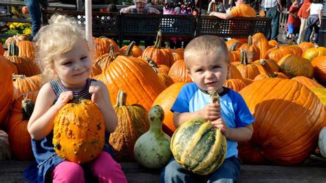 Bengston's Pumpkin Farm | Attractions in Suburbs, Chicago