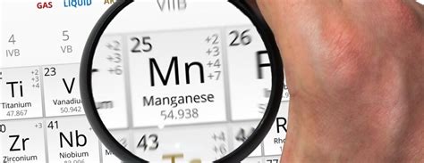 Exploring Manganese in Plant Growth and Soil Quality