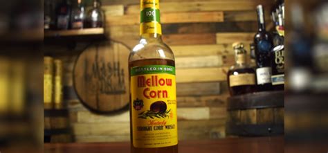 15 Best Corn Whiskey Brands Listed & Ranked (2023 Updated)