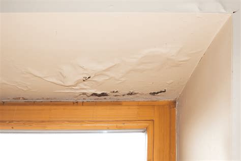 5 Signs of Water Damage in Walls | Water Damage Signs [2022 Updated]