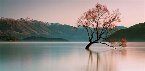 Sunrise At Lake Wanaka by Steve Daggar Photography