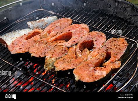 Salmon filet on a barbeque grid. Redfish steaks in the marinade over hot coals. Close-up of ...