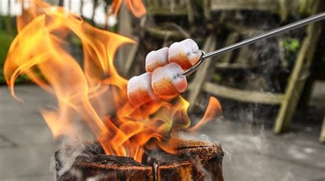 The Best Marshmallow Roasting Sticks on Amazon