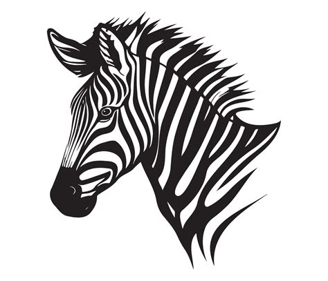 Zebra Face, Silhouettes Zebra Face, black and white Zebra vector 22666748 Vector Art at Vecteezy