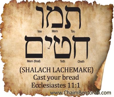 HEBREW WORD STUDY – CAST YOUR BREAD - Chaim Bentorah