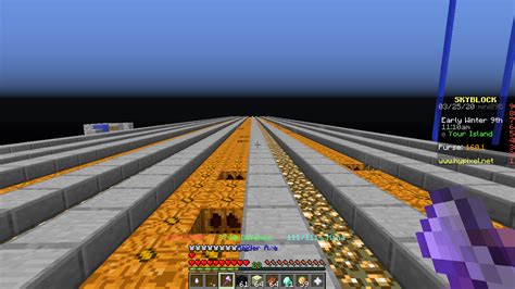 Pumpkin Farming! [GUIDE] [SKYBLOCK] | Hypixel Forums