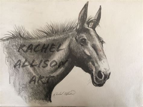 Simple sketch of a mule | Sketchbook art inspiration, Sketches easy ...