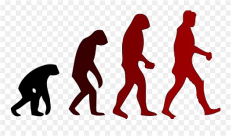 March Of Progress Human Evolution Neanderthal - Monkey To Human Stages ...