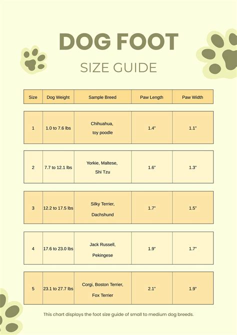 Mens Printable Foot Size Chart - Free Printable Template Plan