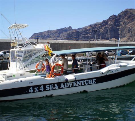 Boat Trip and Whale Watching at Los Gigantes in Los Gigantes: 9 reviews ...