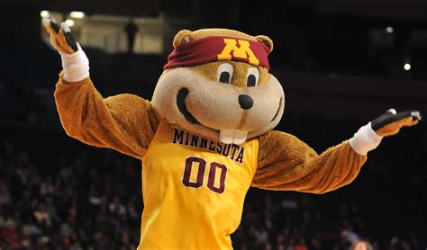 Watch the Minnesota Golden Gopher Join Long Tradition of Mascots ...