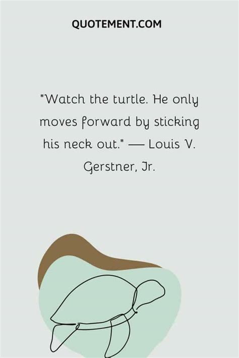 110 Turtle Quotes For Your Daily Dose Of Inspiration