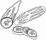 Cucumbers Coloring Pages  ColoringBay sketch template