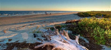 Campground Details - Galveston Island State Park, TX - Texas State Parks