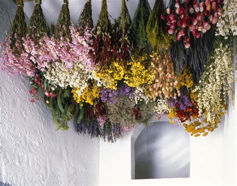 Drying Flowers: Tips, Tricks, and the Best Varieties Dried Flowers Diy ...