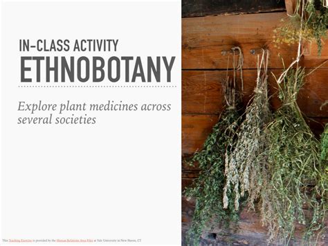 Ethnobotany In-Class Activity | Human Relations Area Files