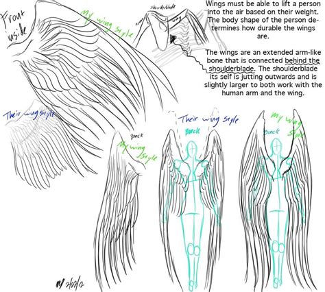 Wings anatomy and reference by G8ORSRULE on deviantART | Wings drawing, Art reference, Wings art