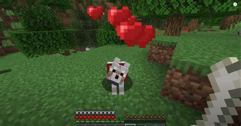 How to Tame a Wolf in Minecraft