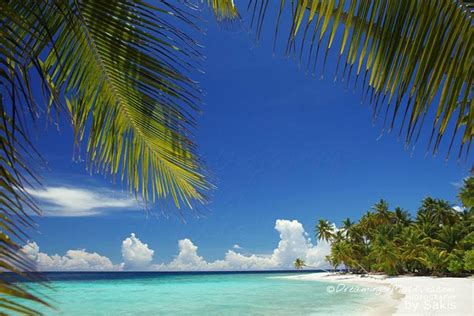 50 Photos of Paradise Beaches from the Maldives Islands