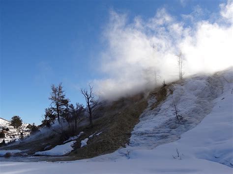 Winter Lamar Valley Wildlife Tour - Yellowstone Tours