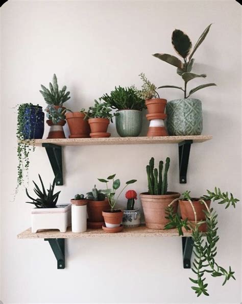 Plant shelf in 2020 | Plant decor, Plant shelves, Decor