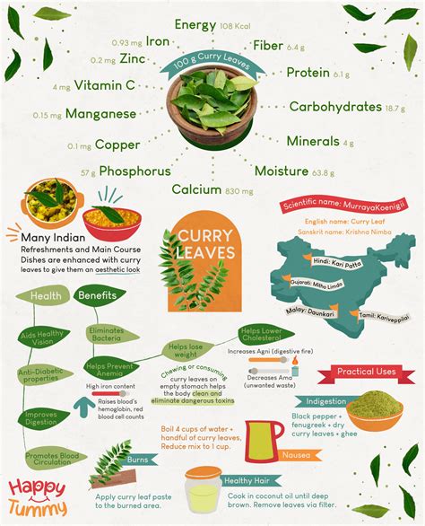 Top 10 Health Benefits of Curry Leaves You Didn't Know - Happytummy