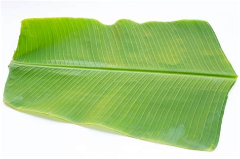 Premium Photo | Banana leaf on white background