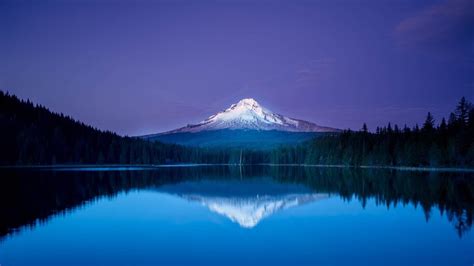 Mountain, Lake, Forest, Night, Scenery, 4K, #4.2322 Wallpaper