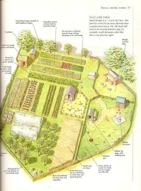 28 Farm Layout Design Ideas to Inspire Your Homestead Dream | Farm layout, Farm plans, Homestead ...