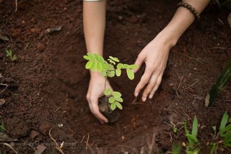 Prevention Of Soil Pollution